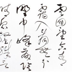作品