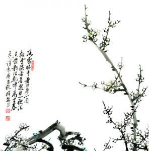 暗香疏影