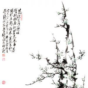 绿萼迎春
