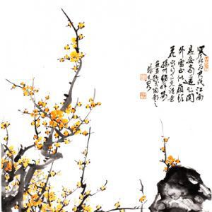 铁石素心